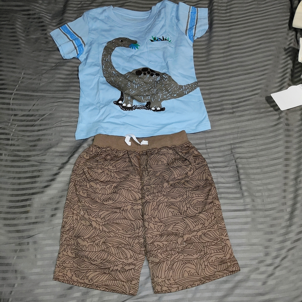 Dinosaur Print Blue and Brown Kids Pajamas